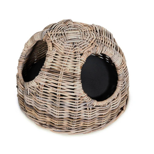 51 Degrees North Babar Katzenkorb 1 51 Degrees North Babar Katzenkorb