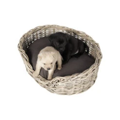 51 Degrees North Rattan Basket -Haustierprodukte 51 degrees north rattan basket 209954 0500 none
