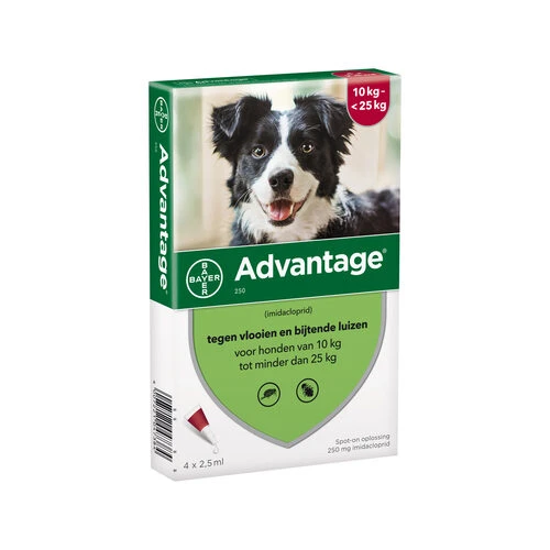 Advantage Hund 6 Advantage Hund – Bild 6