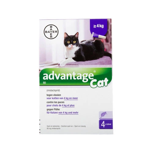 Advantage Katze 4 Advantage Katze – Bild 4