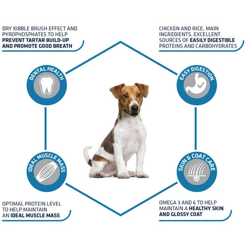 Affinity Advance Adult Mini - Hund 2 Affinity Advance Adult Mini - Hund – Bild 2