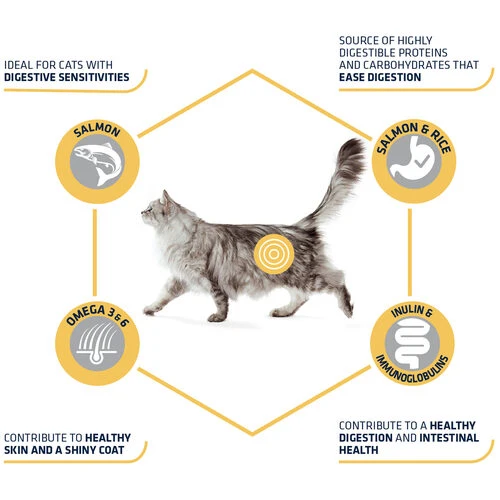 Affinity Advance Adult Salmon Sensitive - Katze 5 Affinity Advance Adult Salmon Sensitive - Katze – Bild 5