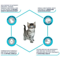 Affinity Advance Kitten Huhn Und Reis -Haustierprodukte affinity advance kitten kip en rijst kat 178231 0500 none