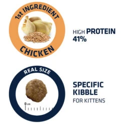 Affinity Advance Kitten Huhn Und Reis -Haustierprodukte affinity advance kitten kip en rijst kat 178234 0500 none