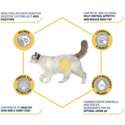 Affinity Advance Sterilized Salmon Sensitive - Katze 14 Affinity Advance Sterilized Salmon Sensitive - Katze -Haustierprodukte affinity advance sterilized salmon sensitive kat 178282 0500 none