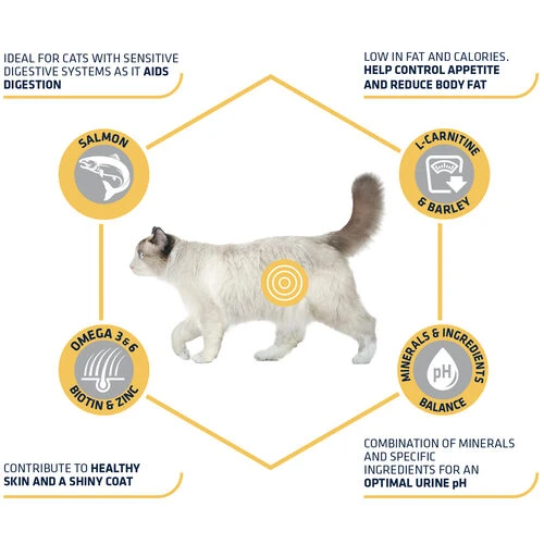 Affinity Advance Sterilized Salmon Sensitive - Katze 6 Affinity Advance Sterilized Salmon Sensitive - Katze – Bild 6