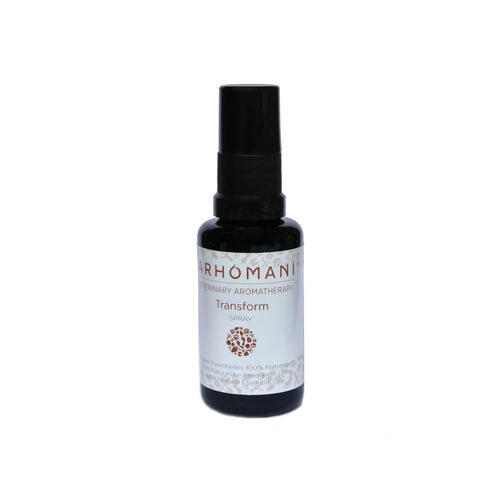 Arhomani Transform 1 Arhomani Transform