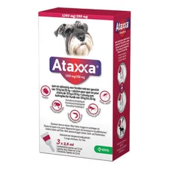Ataxxa