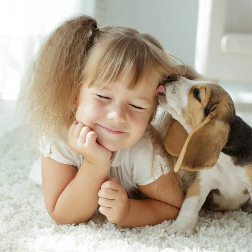 Beaphar Fiprotec Spray 5 Beaphar Fiprotec Spray – Bild 5