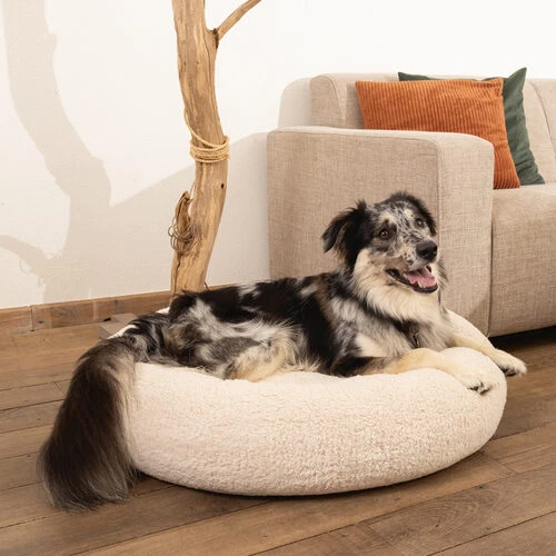 Beeztees Memory Foam Jaxx - Hundekorb - Plüsch – Bild 10