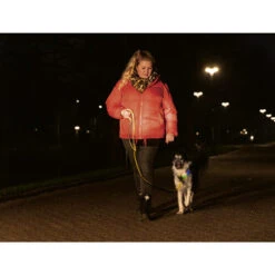 Beeztees Safety Gear Parinca Premium Halsband 15 Beeztees Safety Gear Parinca Premium Halsband -Haustierprodukte beeztees safety gear parinca premium halsband 215009 0500 none