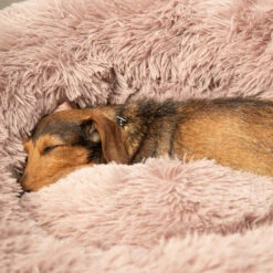 Beeztees Yali Plüsch-Donut-Bett - Grau 8 Beeztees Yali Plüsch-Donut-Bett - Grau -Haustierprodukte beeztees yali pluche donutmand 216351 0500 none