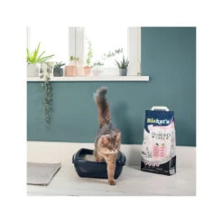Biokat's Diamond Care - Katzenstreu 6 Biokat's Diamond Care - Katzenstreu -Haustierprodukte biokats diamond care 157370 0500 none