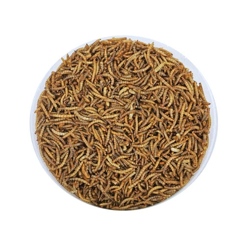 Boon Mehlwürmer 4-Jahreszeiten 2 Boon Mehlwürmer 4-Jahreszeiten – Bild 2