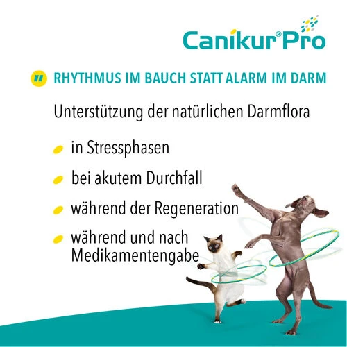 Canikur® Pro Diät-Ergänzungsfuttermittel Für Hunde 3 Canikur® Pro Diät-Ergänzungsfuttermittel Für Hunde – Bild 3