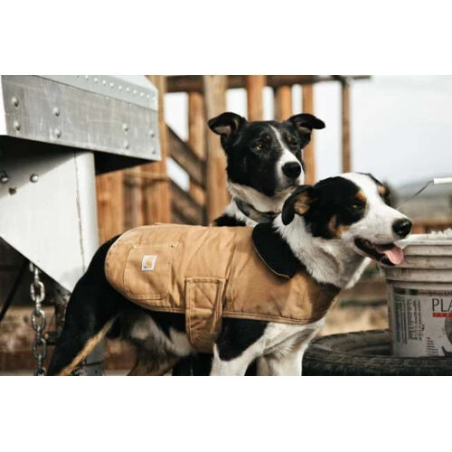 Carhartt Dog Chore Coat 6 Carhartt Dog Chore Coat – Bild 6