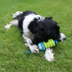 Coockoo Larry 11 Coockoo Larry -Haustierprodukte coockoo larry 216712 0500 none