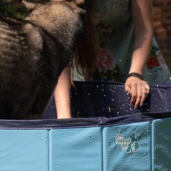 CoolPets Hundepool -Haustierprodukte coolpets zwembad 198134 0500 none