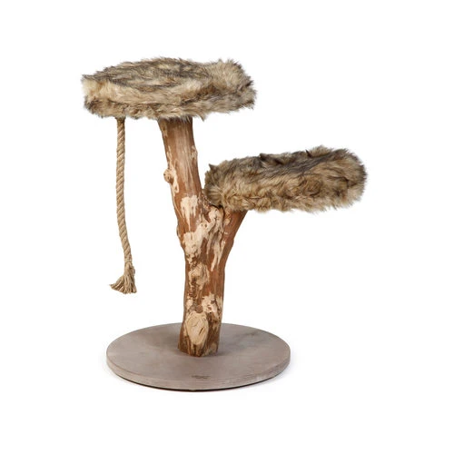 Designed By Lotte Katzenbaum Aviva 1 Designed By Lotte Katzenbaum Aviva