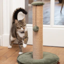 Designed By Lotte Kratzbaum Yenna 12 Designed By Lotte Kratzbaum Yenna -Haustierprodukte designed by lotte krabpaal yenna 164437 0500 none