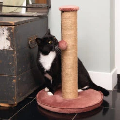 Designed By Lotte Kratzbaum Yenna 13 Designed By Lotte Kratzbaum Yenna -Haustierprodukte designed by lotte krabpaal yenna 164443 0500 none