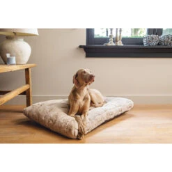 Designed By Lotte Xanti Hundekissen -Haustierprodukte designed by lotte xanti hondenkussen 188124 0500 none