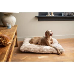 Designed By Lotte Xanti Hundekissen -Haustierprodukte designed by lotte xanti hondenkussen 188127 0500 none