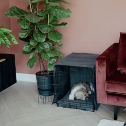 District 70 Crate Cover -Haustierprodukte district 70 crate cover 191152 0500 none