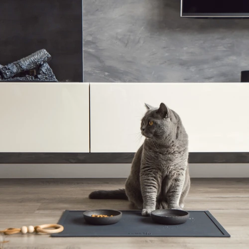 District 70 Serve Placemat 9 District 70 Serve Placemat – Bild 9