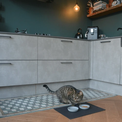 District 70 Serve Placemat 10 District 70 Serve Placemat – Bild 10