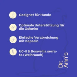 Dr. Ann's Mobility Support Advanced -Haustierprodukte dr anns mobility support advanced 213137 0500 none