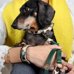 DWAM Halsband Ivy -Haustierprodukte dwam halsband ivy 180688 0500 none