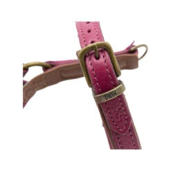 DWAM Hundegeschirr Lou Lou -Haustierprodukte dwam hondentuigje lou lou 182158 0500 none