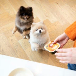 Edgard & Cooper Adult - Huhn & Truthahn - Im Schälchen 5 Edgard & Cooper Adult - Huhn & Truthahn - Im Schälchen -Haustierprodukte edgard cooper adult kip kalkoen kuipje 168597 0500 none