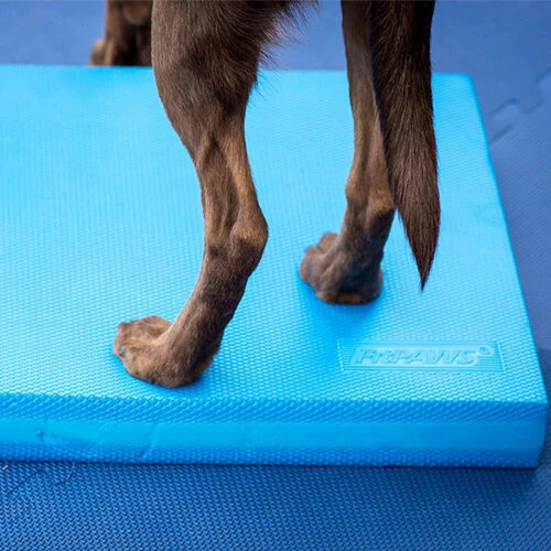 FitPAWS Balance Pad 4 FitPAWS Balance Pad – Bild 4