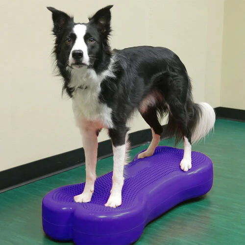 FitPAWS K9FITbone Giant 1 FitPAWS K9FITbone Giant