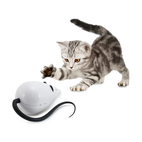 FroliCat RoloRat 5 FroliCat RoloRat – Bild 5