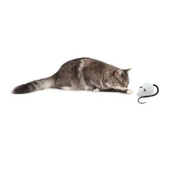 FroliCat RoloRat 7 FroliCat RoloRat -Haustierprodukte frolicat rolorat 136588 0500 none