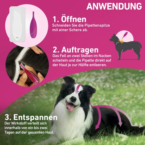 Frontline Tri-Act Gegen Zecken, Flöhe Und Fliegende Insekten Für Hunde – Bild 17