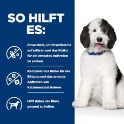 Hill's C/d Urinary Care - Prescription Diet - Canine 15 Hill's C/d Urinary Care - Prescription Diet - Canine -Haustierprodukte hills cd urinary care prescription diet canine 217894 0500 none