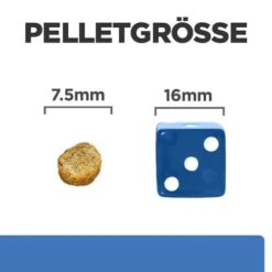 Hill's Derm Complete Mini - Prescription Diet – Canine 11 Hill's Derm Complete Mini - Prescription Diet – Canine -Haustierprodukte hills derm complete mini prescription diet canine 211655 0500 none