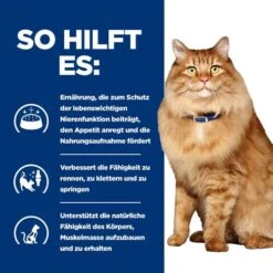 Hill's K/d + Mobility - Prescription Diet - Feline -Haustierprodukte hills kd mobility prescription diet feline 212465 0500 none