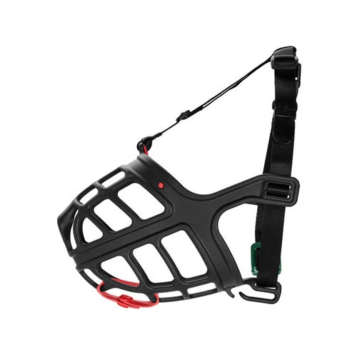 Hunter Maulkorb Albury 1 Hunter Maulkorb Albury