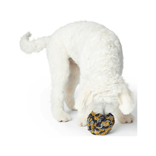 Hunter Schnüffelball Eiby 2 Hunter Schnüffelball Eiby – Bild 2