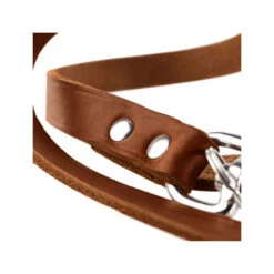 Hunter Trainingsleine - Braun -Haustierprodukte hunter trainingsriem bruin 175345 0500 none