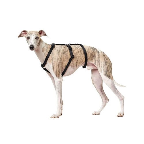 Hunter Vario Rapid Sicherheitsgeschirr - Schwarz 3 Hunter Vario Rapid Sicherheitsgeschirr - Schwarz – Bild 3