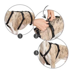 Hunter Vario Rapid Sicherheitsgeschirr - Schwarz 12 Hunter Vario Rapid Sicherheitsgeschirr - Schwarz -Haustierprodukte hunter vario rapid veiligheidsharnas zwart 169510 0500 none