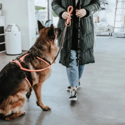 Hunter Sicherheitsgeschirr Maldon 20 Hunter Sicherheitsgeschirr Maldon -Haustierprodukte hunter veiligheidsharnas maldon 221557 0500 none