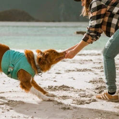 Hurtta Cooling Wrap - Hellblau 8 Hurtta Cooling Wrap - Hellblau -Haustierprodukte hurtta cooling wrap lichtblauw 178456 0500 none