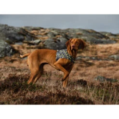 Hurtta Go Geschirr Storm Grey 7 Hurtta Go Geschirr Storm Grey -Haustierprodukte hurtta go harness storm grey 201305 0500 none